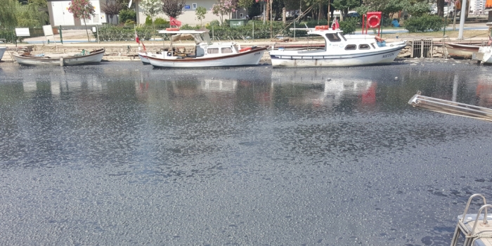 Topbaş'tan İstanbullulara yüzülebilir Kurbağalıdere vaadi